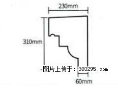 产品分解图型 - 檐口线，型号：SX311-YK-3，规格：230x310mm(3) - 三亚三象EPS建材 sanya.sx311.cc